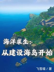 海洋求生:從建設海島開始