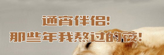 通宵伴侶！那些年我熬過的夜！
